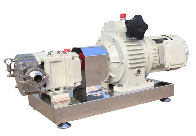 High Viscous Food Transfer Lobe Pump