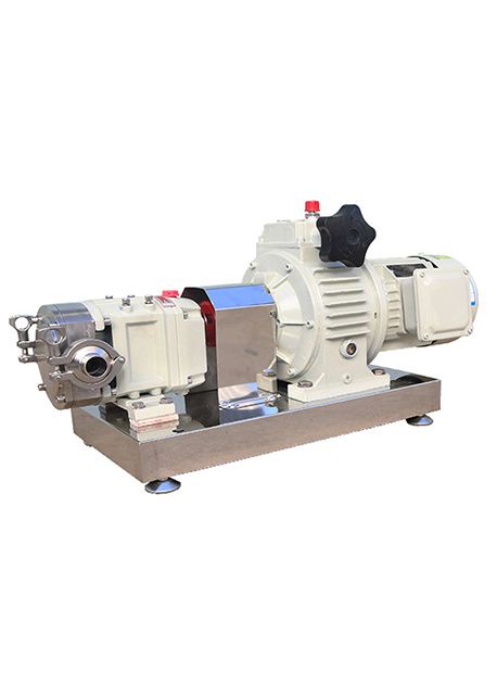 High Viscous Food Transfer Lobe Pump