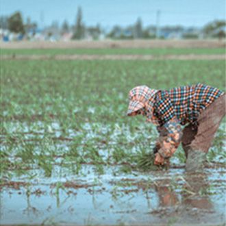 Farmland irrigation