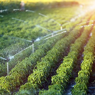Farmland irrigation