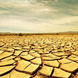 Dry Land Water Delivery