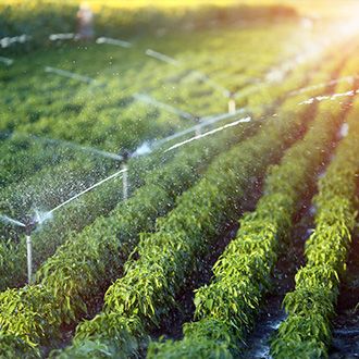 Farmland Irrigation