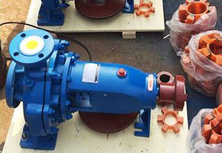 Flexible coupled centrifugal pump