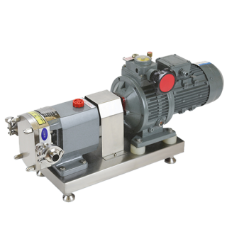 Cam Type Double Rotor Pump