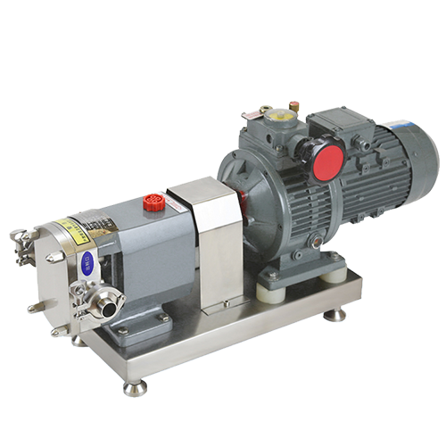 Cam Type Double Rotor Pump