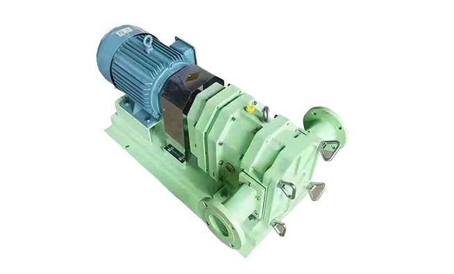 Flexible Pump
