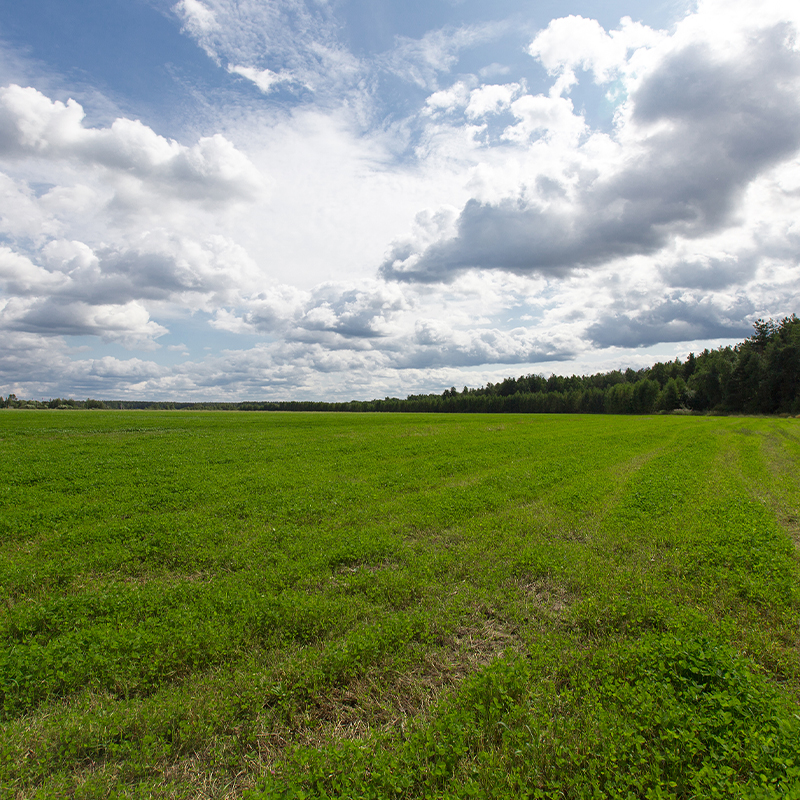 Dry land water delivery